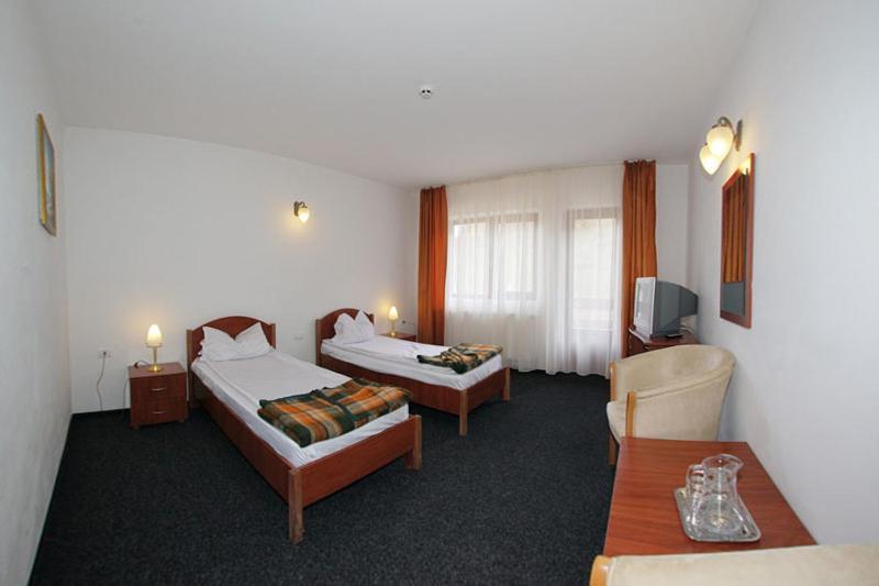 Hotel Paltinis Statiunea Rom bilde