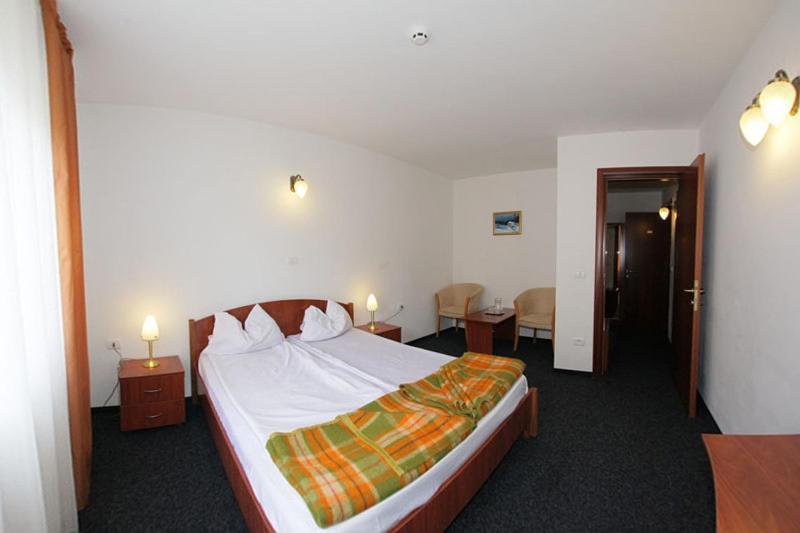 Hotel Paltinis Statiunea Rom bilde