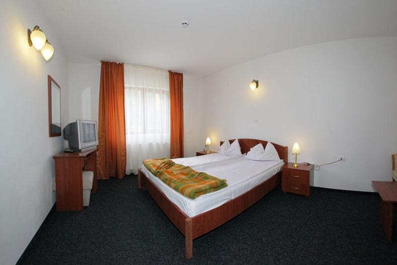 Hotel Paltinis Statiunea Rom bilde